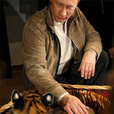 Putin erhält Sibirischen Tiger zum Geburtstag