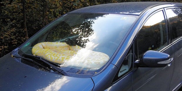 4-Meter-Python kriecht während der Fahrt im Auto herum