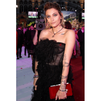 Ankunft in Wien Schwechat