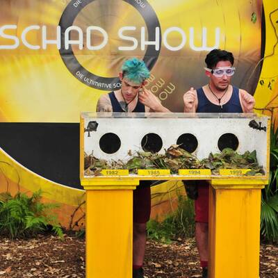 Dschungelcamp 2018 Tag 7