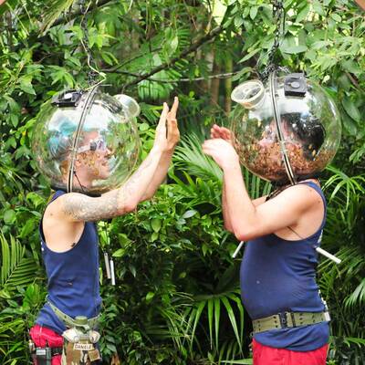 Dschungelcamp 2018 Tag 7