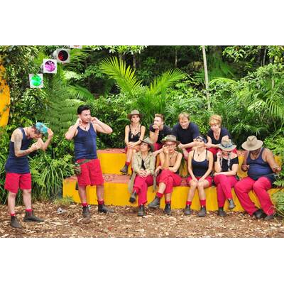 Dschungelcamp 2018 Tag 7