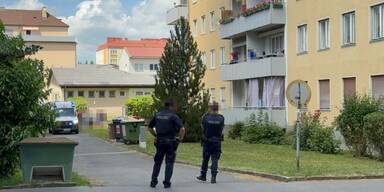 Fenstersturz St. P&ouml;lten