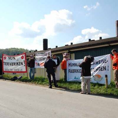 Die skandalösen Bilder vom Entenfellner-Betrieb