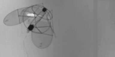 Der Ornithopter fliegt, wie eine Qualle schwimmt