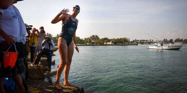 Qualle stoppt Extremschwimmerin 