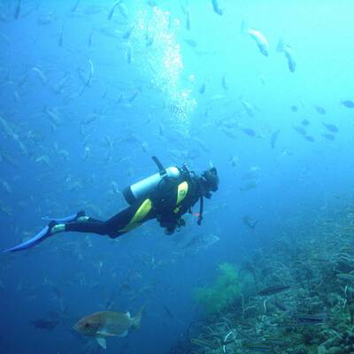 Der beste Job der Welt