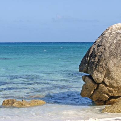 Der beste Job der Welt