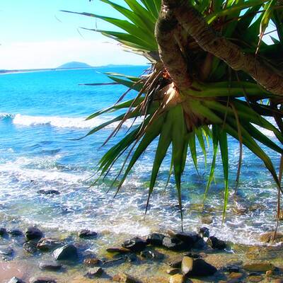 Der beste Job der Welt