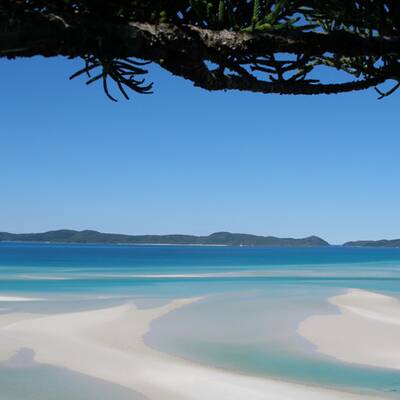 Der beste Job der Welt