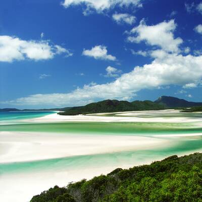 Der beste Job der Welt