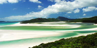 Alle wollen den besten Job der Welt