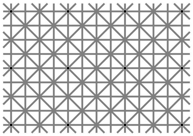 Dieses Rätsel lässt das Netz verzweifeln