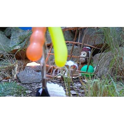 Tag 10 im Dschungelcamp