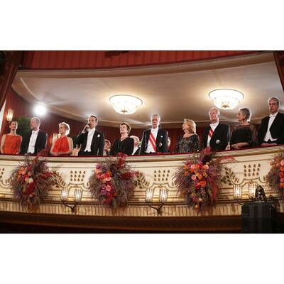 Opernball 2017 - Die besten Bilder