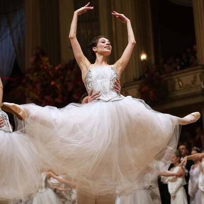 Opernball 2017 - Die besten Bilder