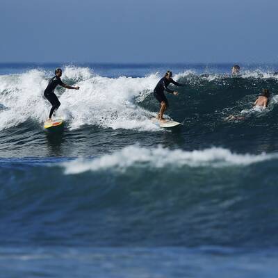 Ein Sanddamm an der Küste