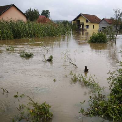 Topcic Polje/Bosnien