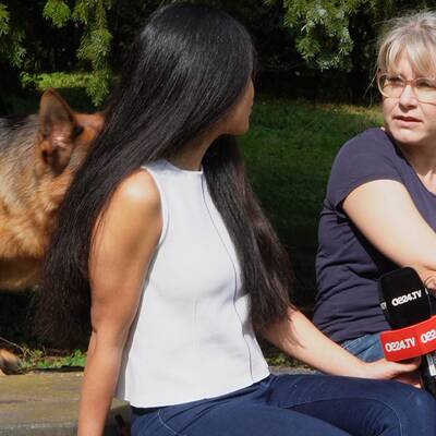 Kommissar Rex im ultimativen Test!