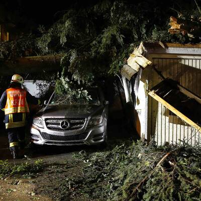 Bäume stürzten auf Autos