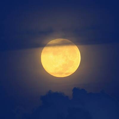 Peter und Paul Kirche, Deutschland