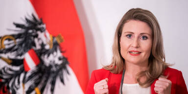 Raab pr&auml;sentiert neue Online-Deutschkurse f&uuml;r Migranten