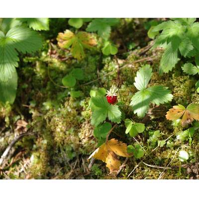 Die schönsten Urlaubsfotos