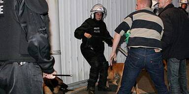 Austria gewinnt, Rapid holt Remis