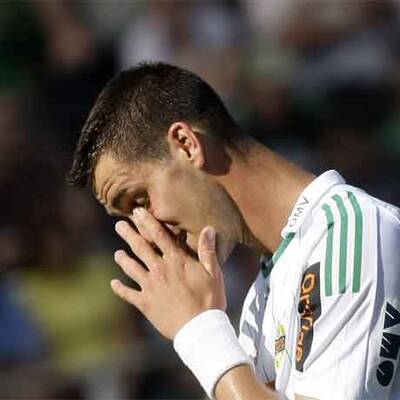 Niedergeschlagene Rapidler in Ried