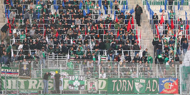 Rapid Fans