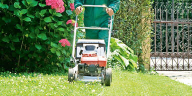rasenm&auml;her