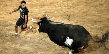 Killer-Stier "Rat&oacute;n" ist tot