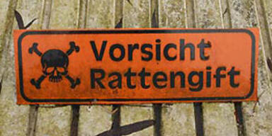 rattengift