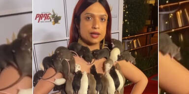 DJane tr&auml;gt Kleid aus lebendigen Ratten am Red Carpet