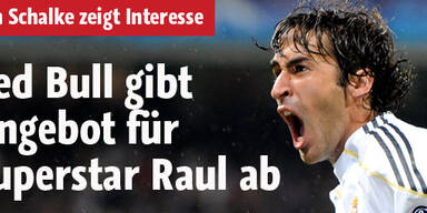 Red Bull New York will Superstar Raul