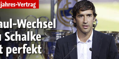 Raul-Wechsel zu Schalke perfekt
