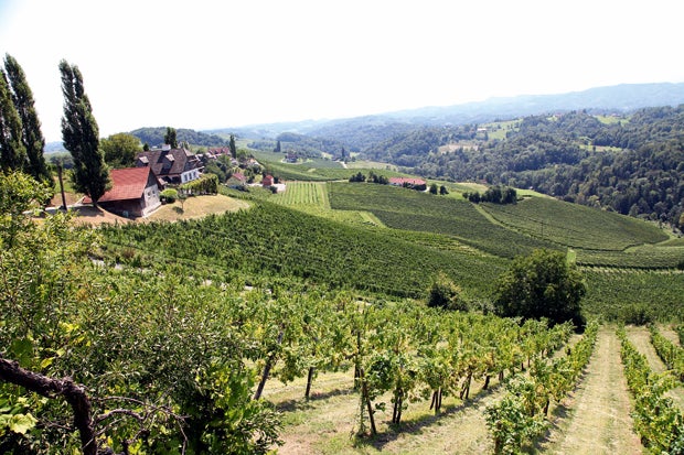 oe24 testet die Hochzeits-Location 