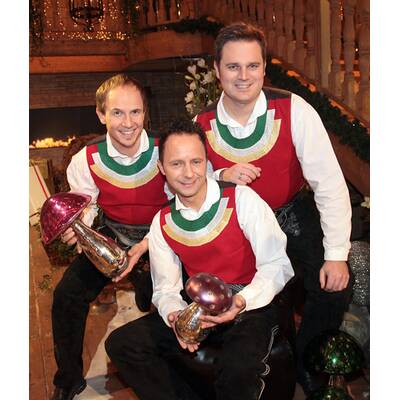 Die Jungen Zillertaler