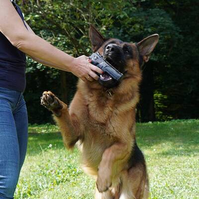 Kommissar Rex im ultimativen Test!