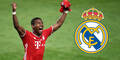 David Alaba Real Madrid