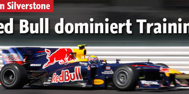 Red Bull dominiert Freitags-Trainings