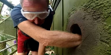 Hier siegt Harry Redknapp bei Dschungel-Camp