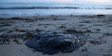 &Ouml;lteppich bedroht Traumstrand