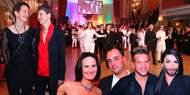 Wiener Regenbogenball 2013