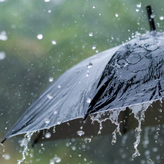 Verregneter Juli entfacht neue Welle an Klima-Desinformation