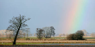 Nach dem Regen kommt die Sonne