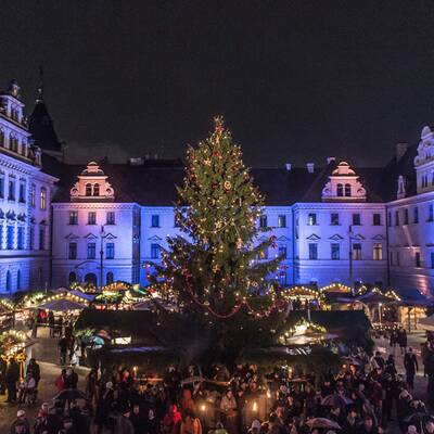 Die verrücktesten Christbäume der Welt