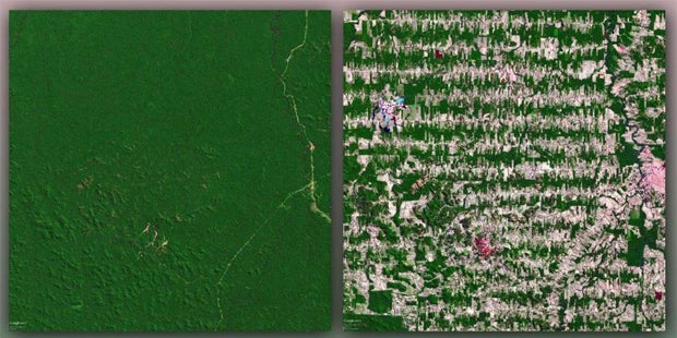 So hat der Mensch die Erde zerstört