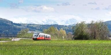 Land k&auml;mpft um Erhaltung.