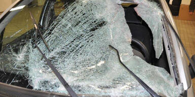 Crash mit Reh – Autofahrer starb